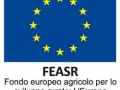 Fondo europeo agricolo per lo sviluppo rurale (FEASR)